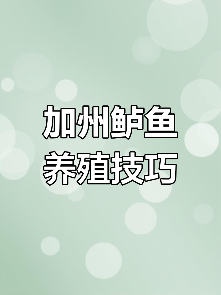 加州鲈鱼养殖技术及病害防治