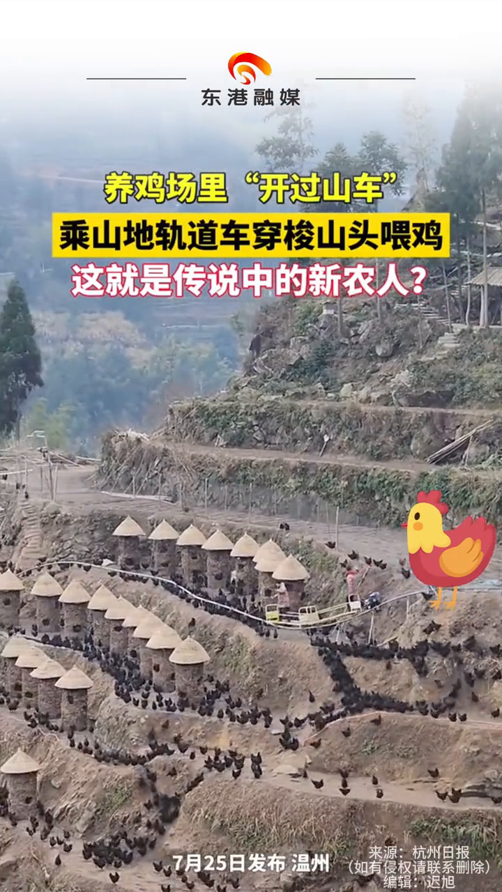 养鸡场里开过山车 乘山地轨道车穿梭山头喂鸡