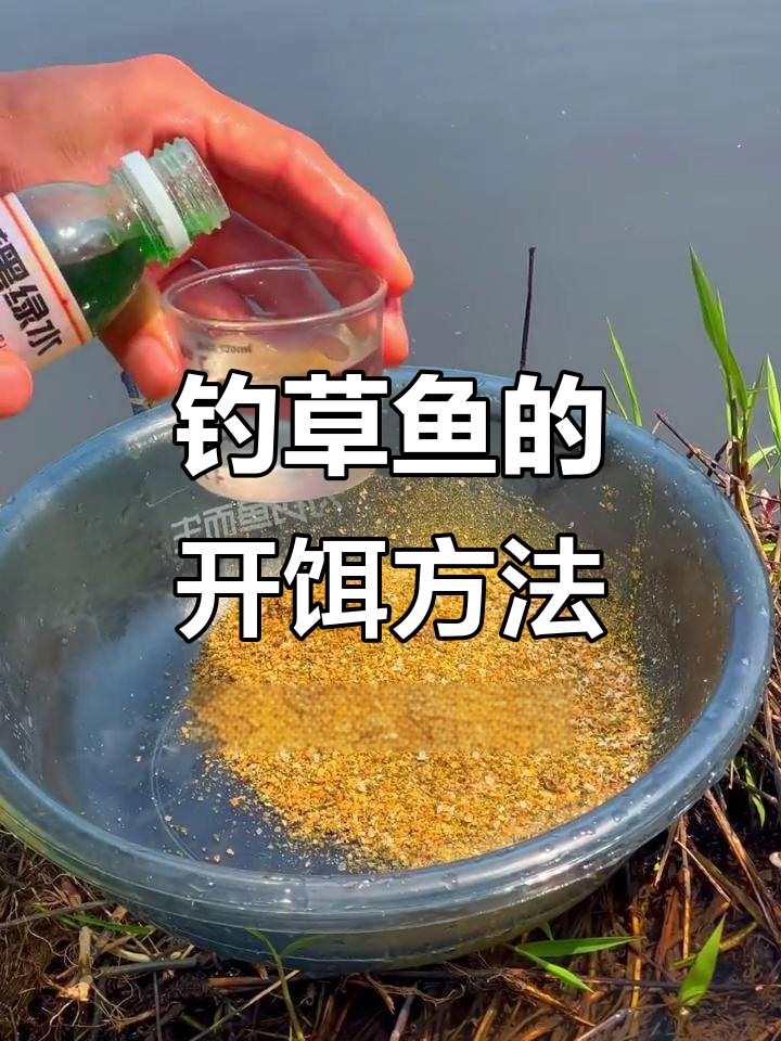 水库钓草鱼技巧大揭秘,如何开饵才能更吸引?