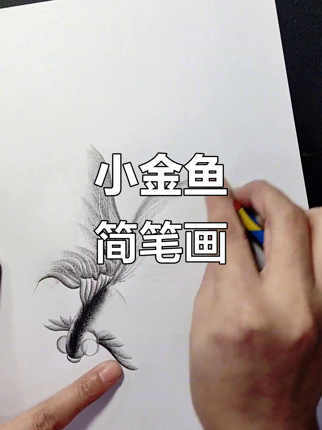 简单几笔画小金鱼儿,快来试试这种风格!