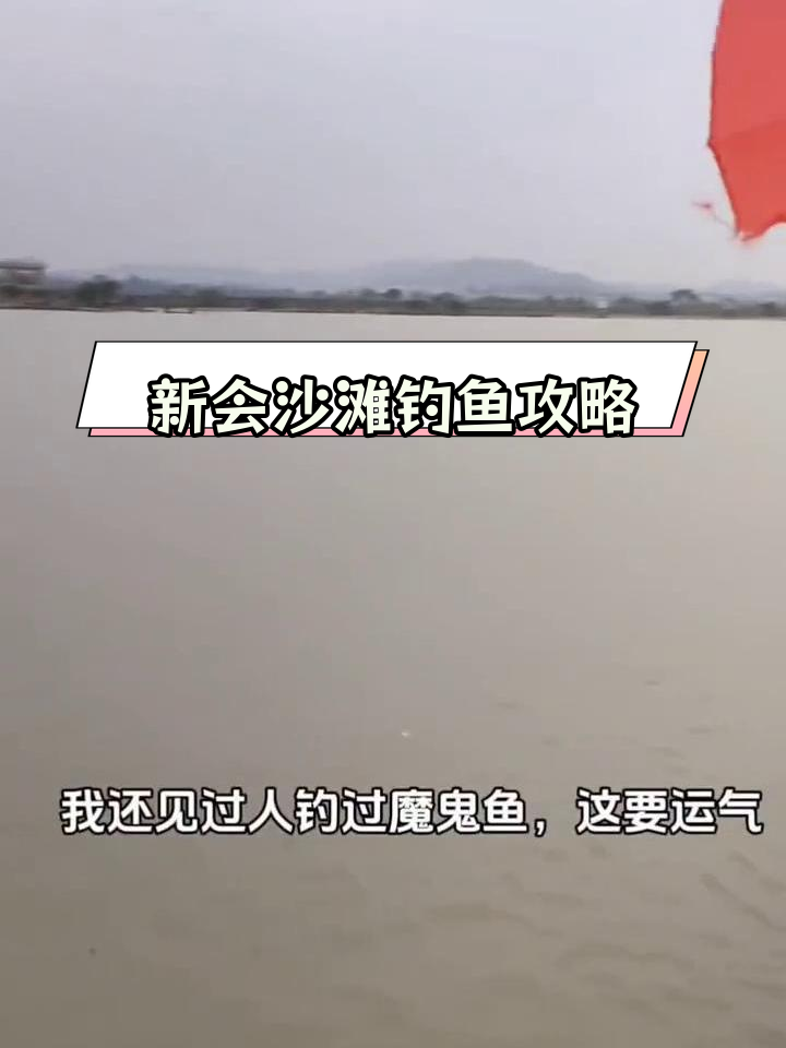 江门新会沙滩镇钓鱼好去处,多种鱼类任你钓