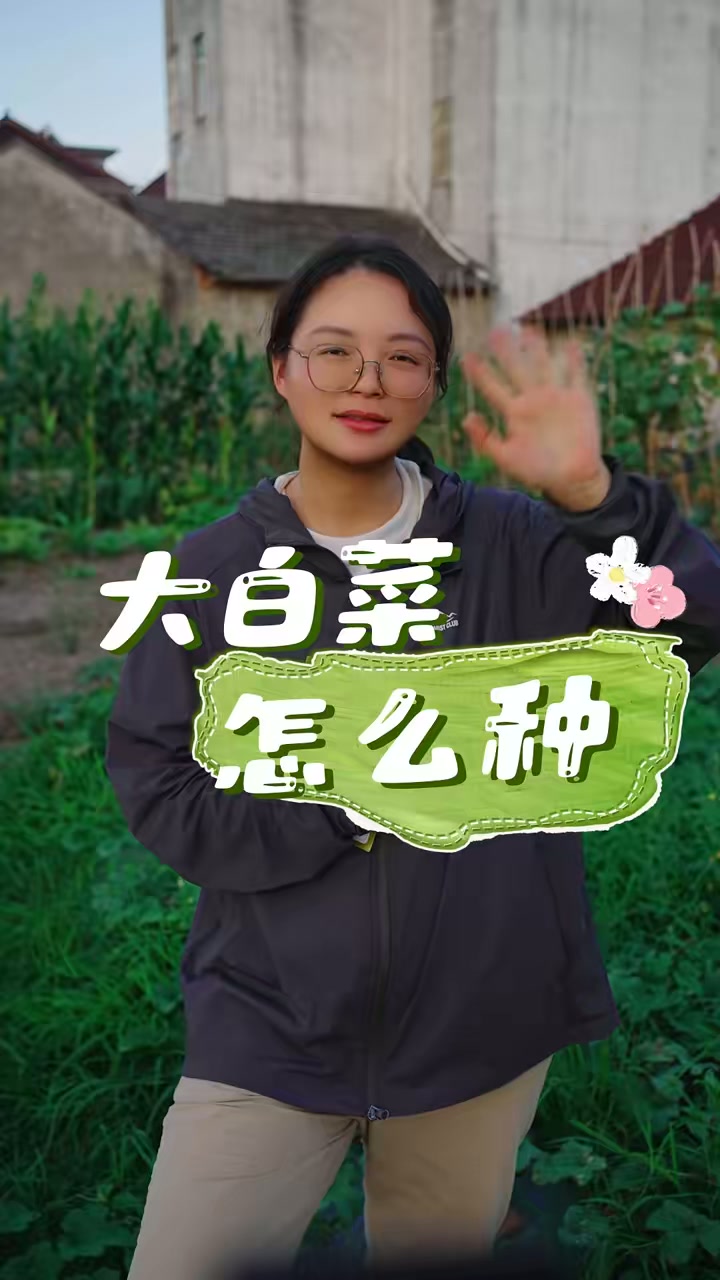 大白菜怎么种？掌握种植小技巧种出纯天然绿色蔬菜