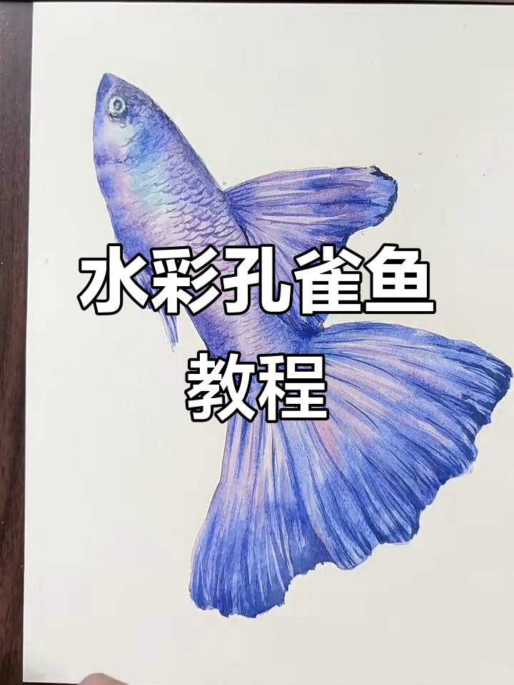 轻松学会水彩孔雀鱼绘制技巧，看两遍就能上手