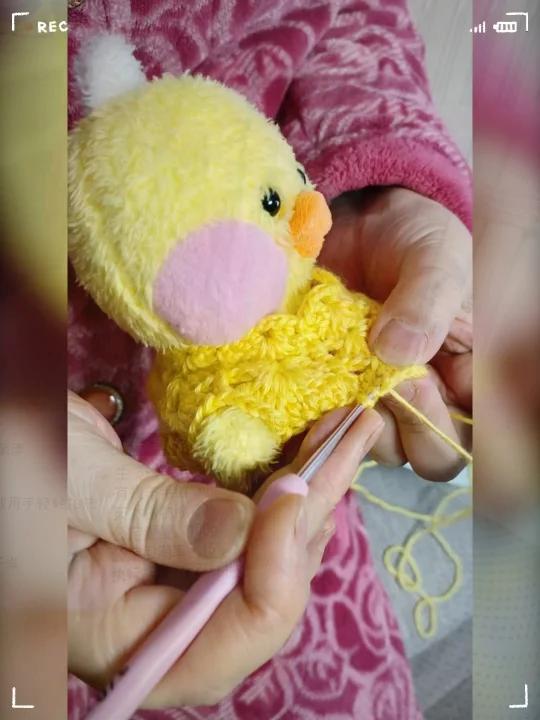 开织|钩针毛衣编织秀. 玻尿酸鸭镂空小衣