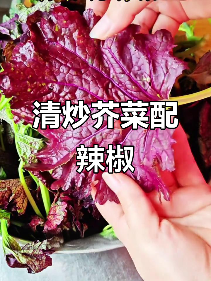 紫叶芥菜与尖椒的完美搭配，清炒出独特香气