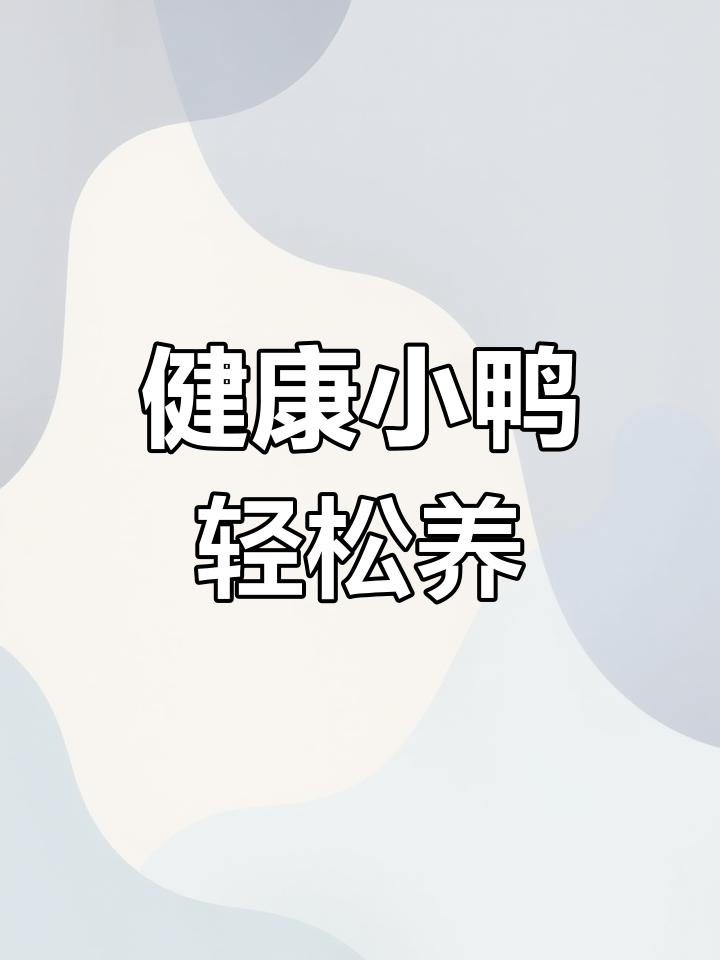 河南脱温鸭苗孵化场,提供养殖技术