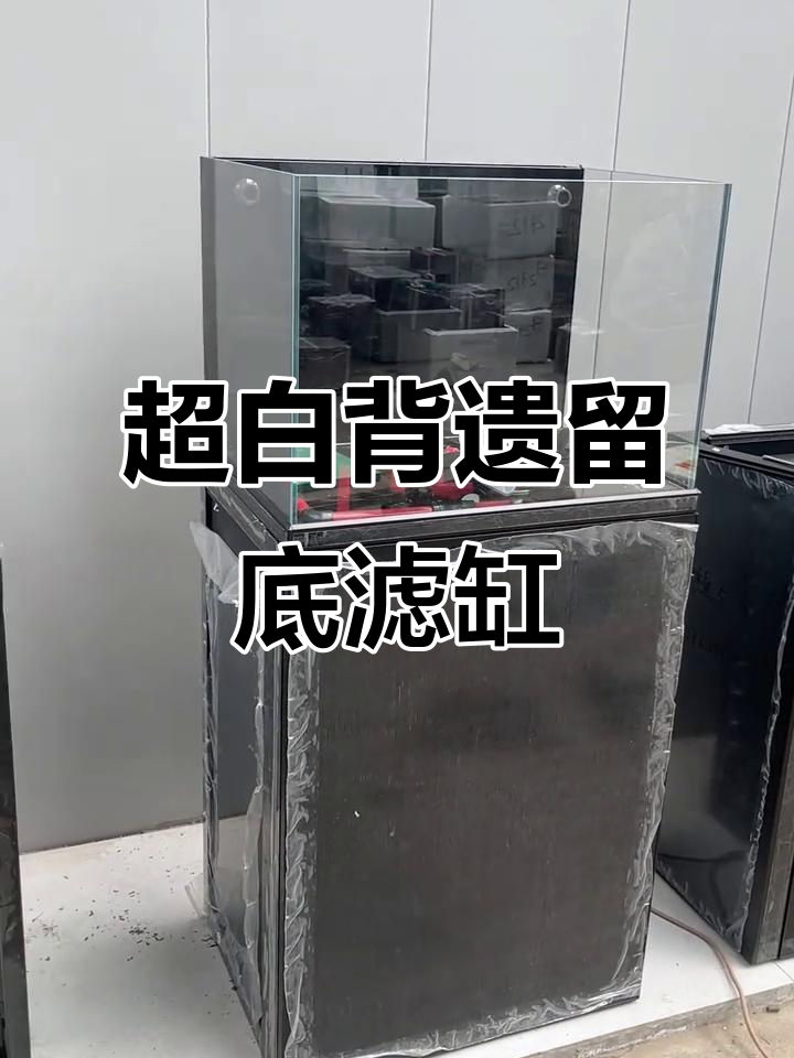 背溢流鱼缸定制,超白材质与双上水设计完美结合