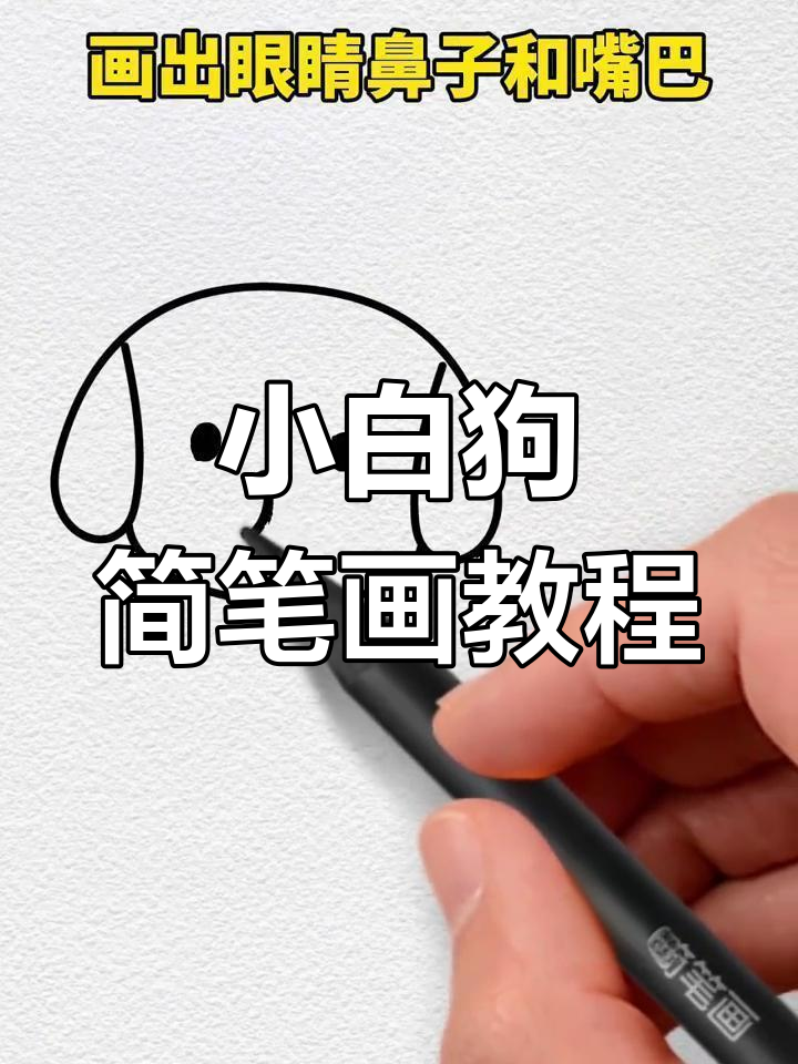 轻松学会画小狗,简单步骤教你画出可爱小白狗