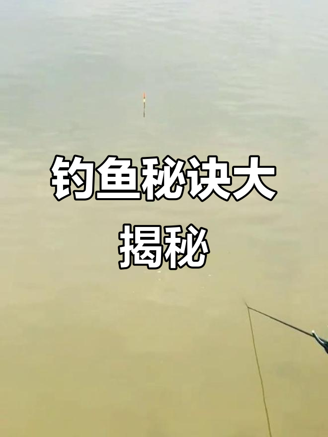 你有什么独门钓鱼秘籍?分享出来,下次一起试试!