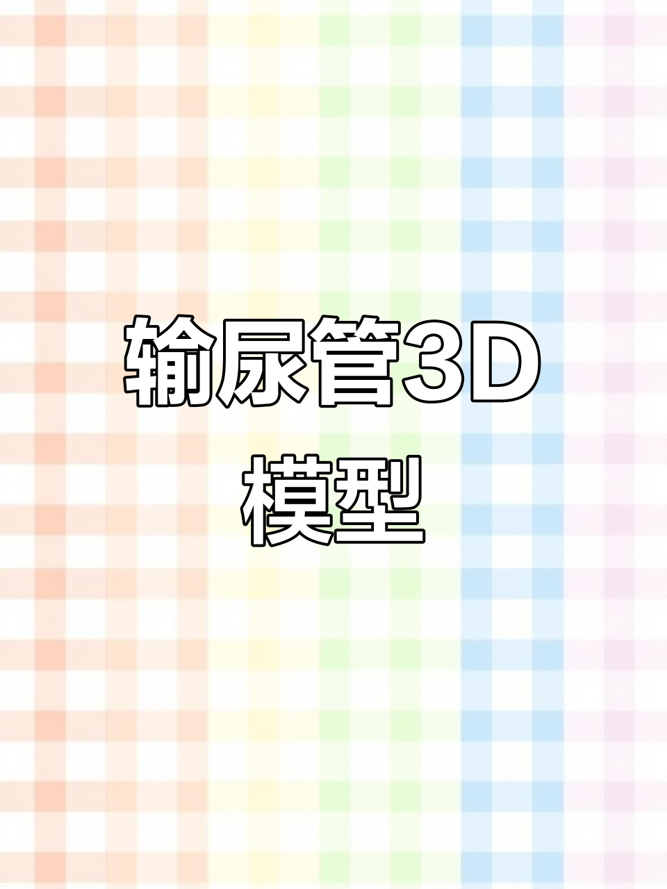 3D解剖：输尿管模型，细节全解析