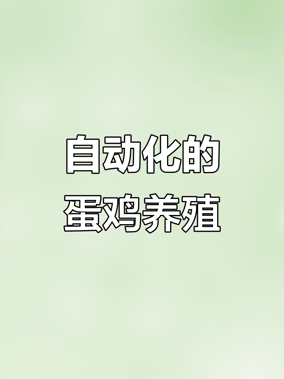 2025年养鸡必看:自动化设备助力科学养殖