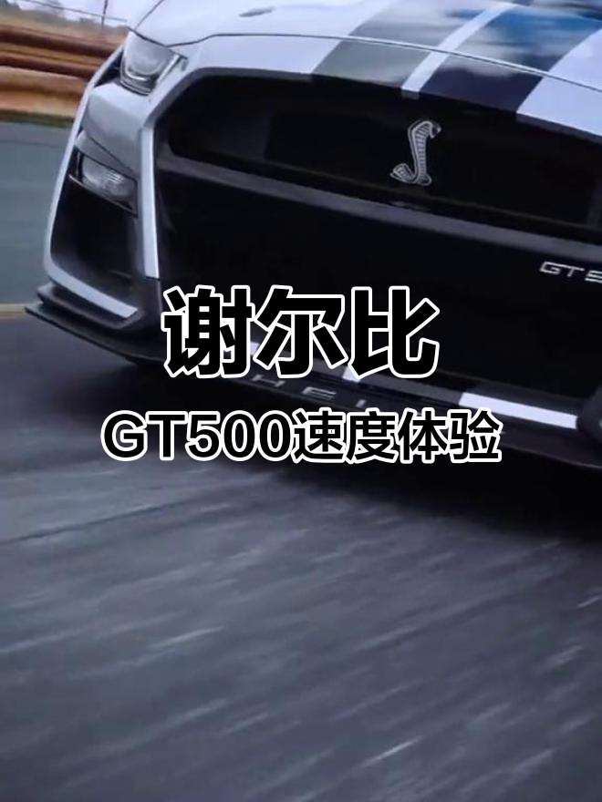 福特谢尔比GT500与野马的极速对决,挑战超跑极限