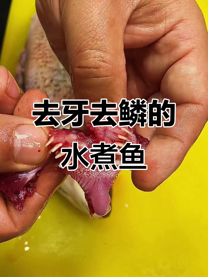 在家做水煮鱼,去腥秘诀大公开!