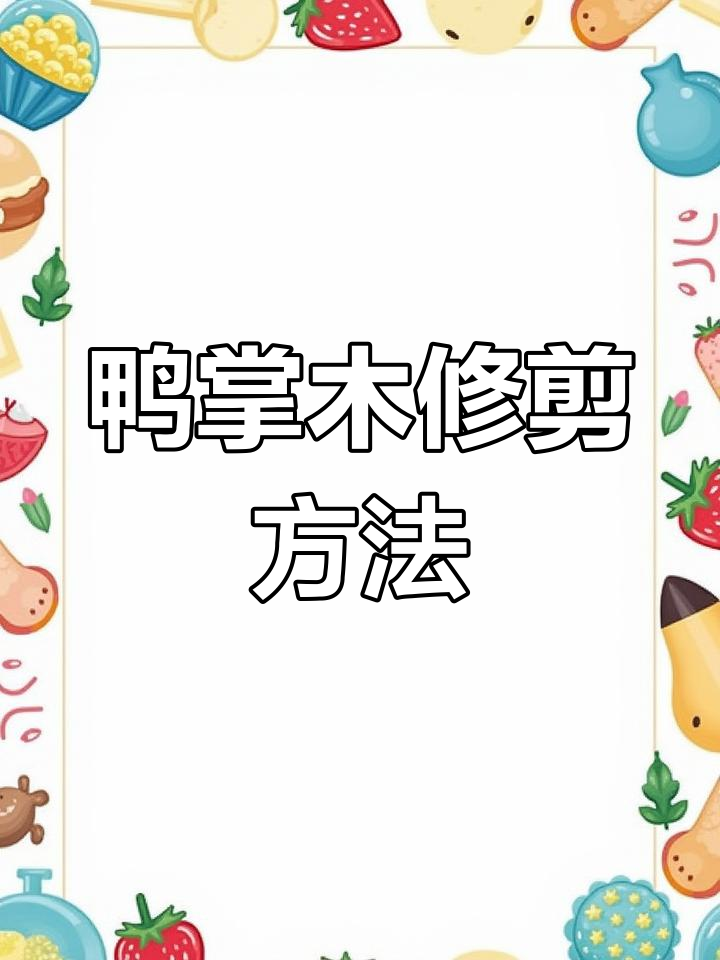 鸭掌木修剪技巧,打造独杆棒棒糖造型