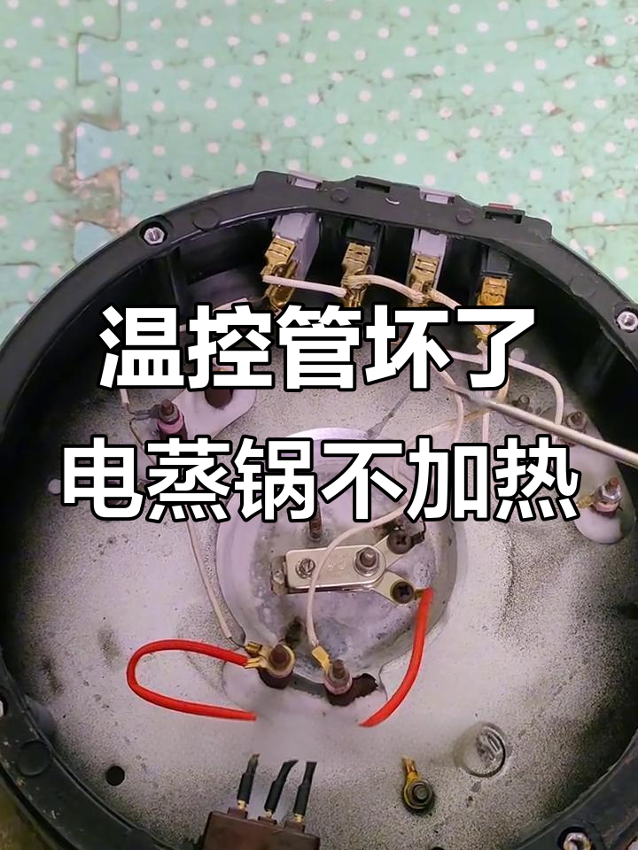 电蒸锅不通电?教你排查温控管故障及维修方法