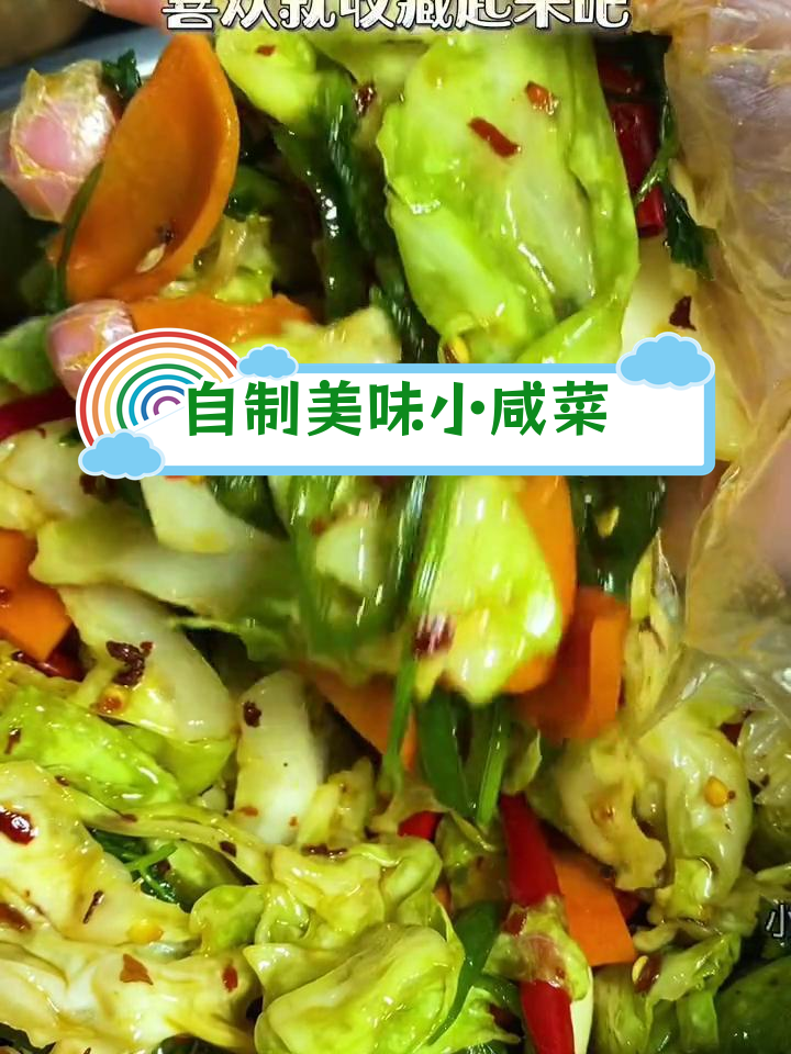 轻松学做家常小咸菜,味道超赞