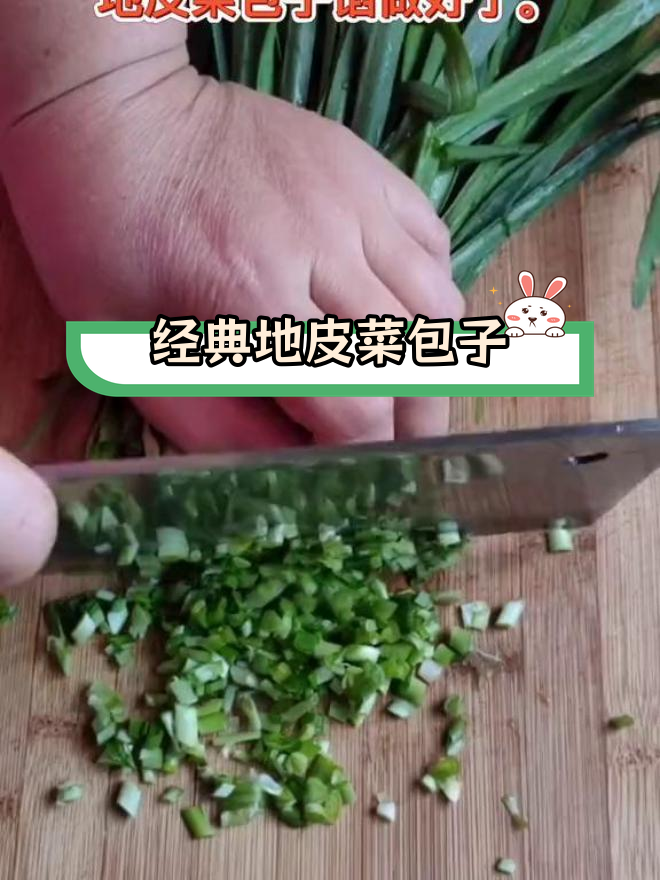 地皮菜包子馅做法,简单又美味