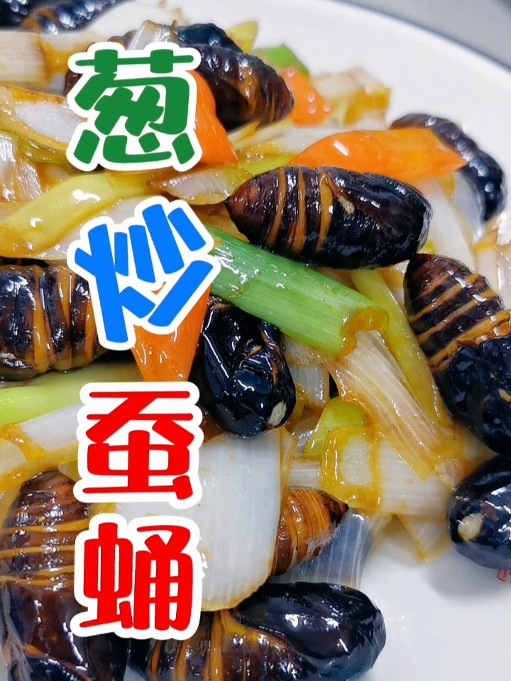 蚕蛹俺们叫它茧蛹子是一种高蛋白的食物美味又健康老少皆宜