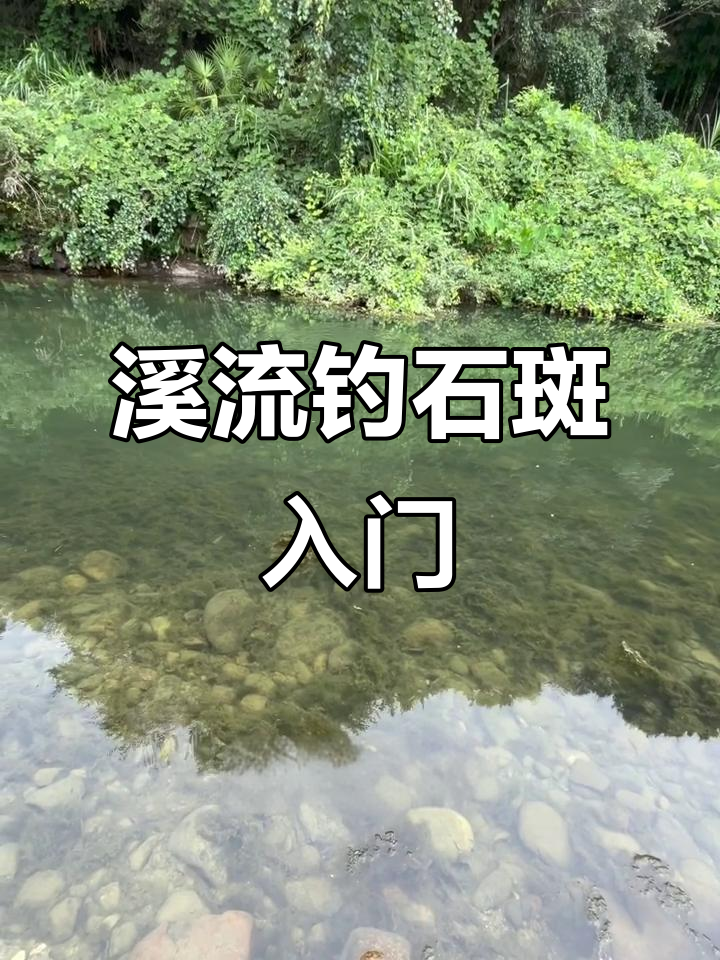 溪流钓石斑,轻松上手!装备与技巧全揭秘