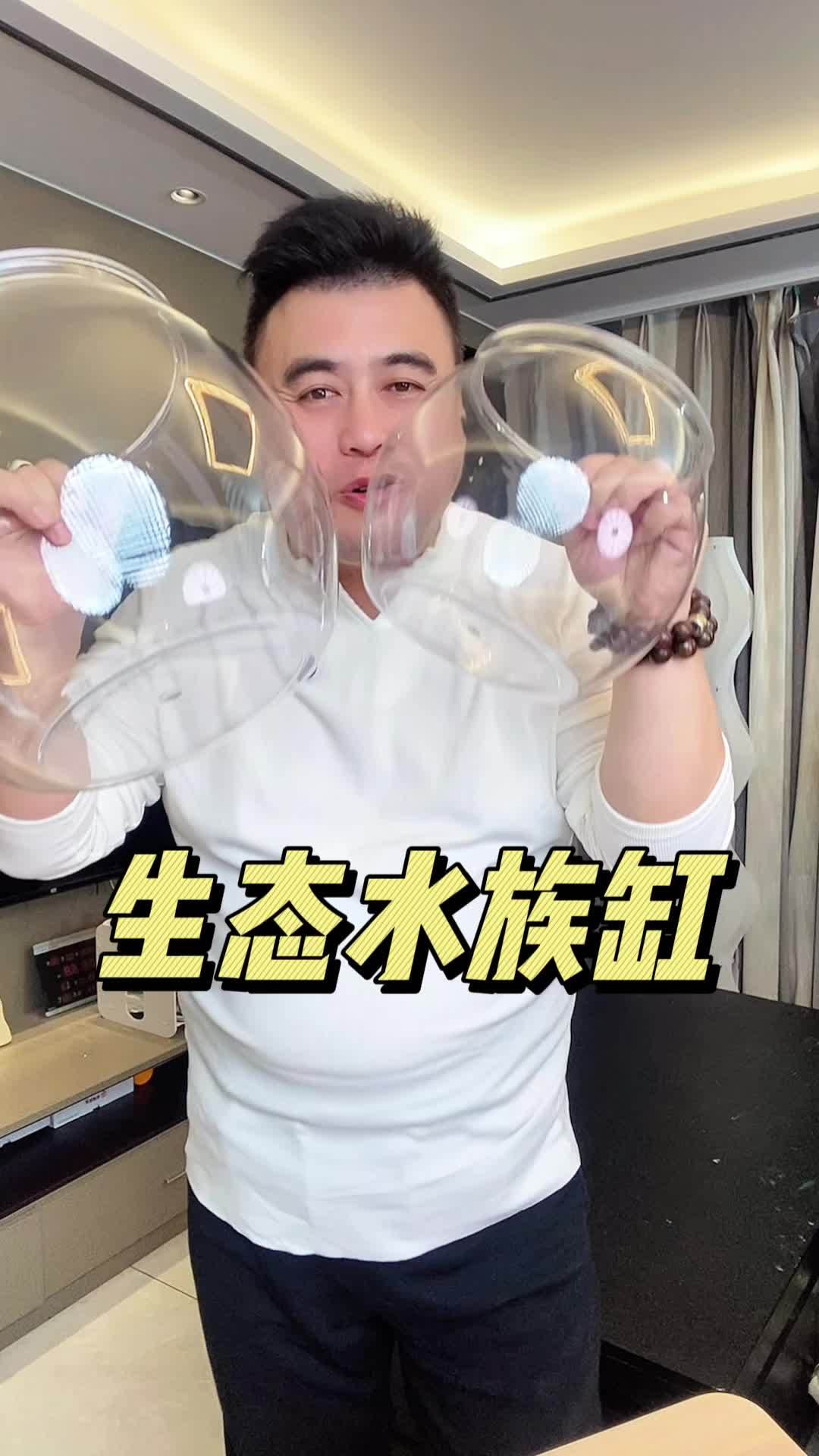 鱼缸 鱼缸 桌面鱼缸推荐 轻松养鱼 桌面景观鱼缸