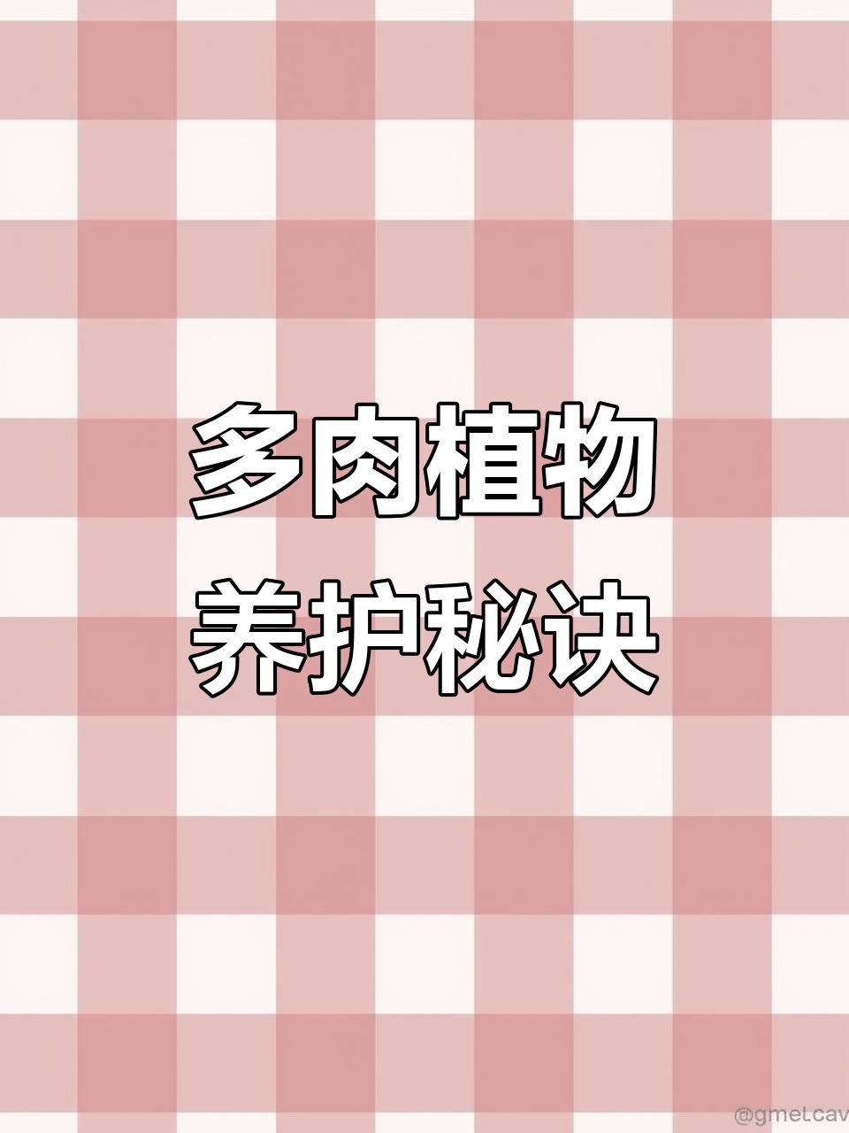 梅花鹿水泡:多肉植物的美丽与养护技巧