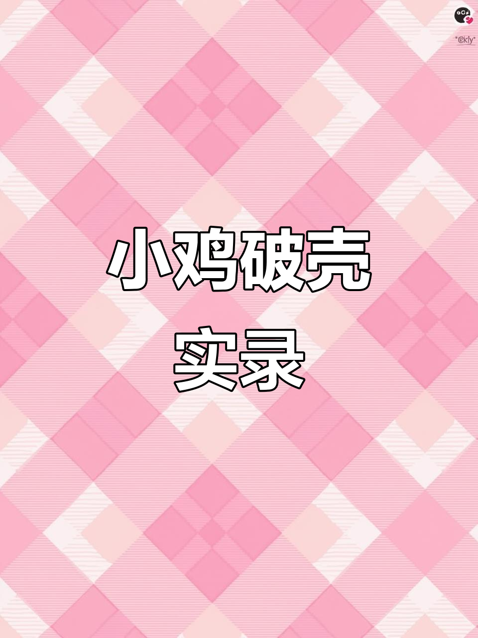 芦丁鸡孵化全过程,小生命挣扎出壳的奇妙时刻