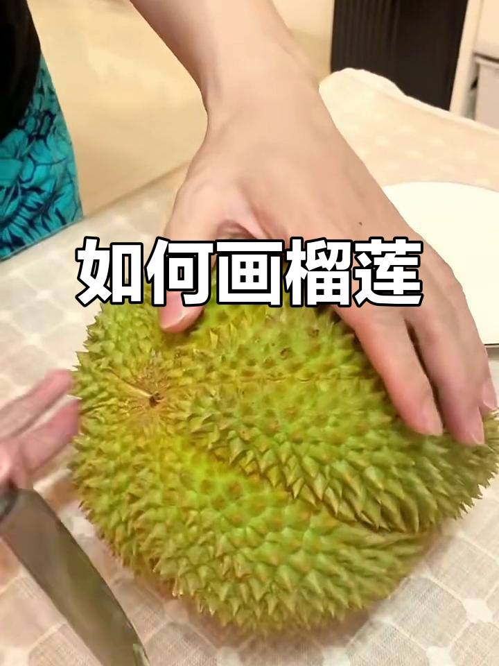 轻松画出可爱榴莲,步骤超简单!