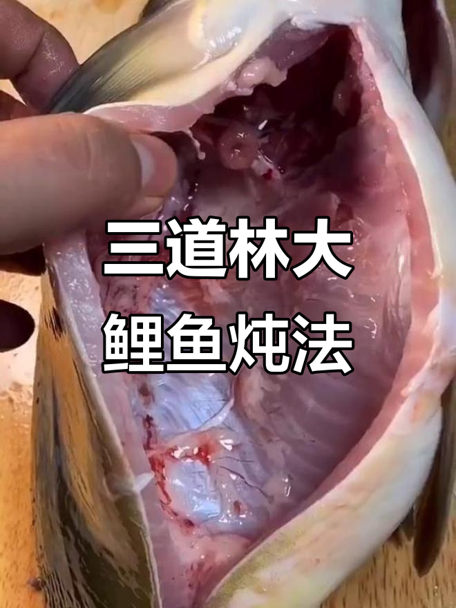 炖出鲜嫩无腥味，三道林大鲤鱼家常做法