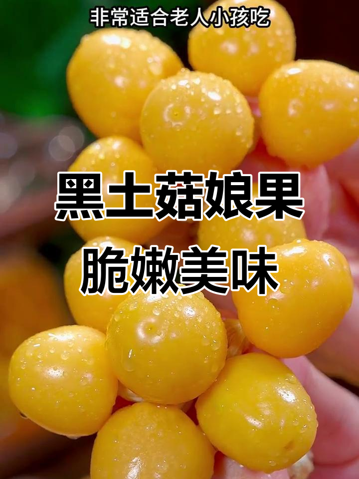 东北黑土地的独特菇娘果,脆甜多汁又营养