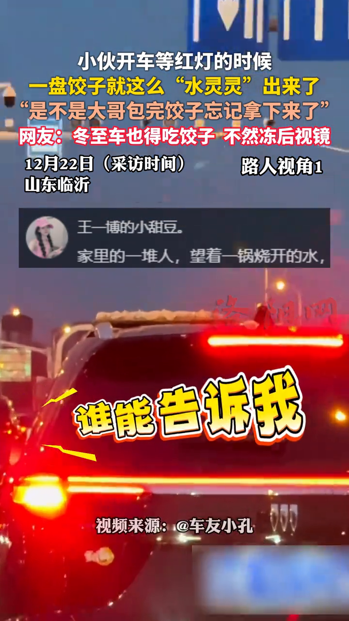 小伙开车等红灯的时候,一盘饺子就这么“水灵灵”出来了