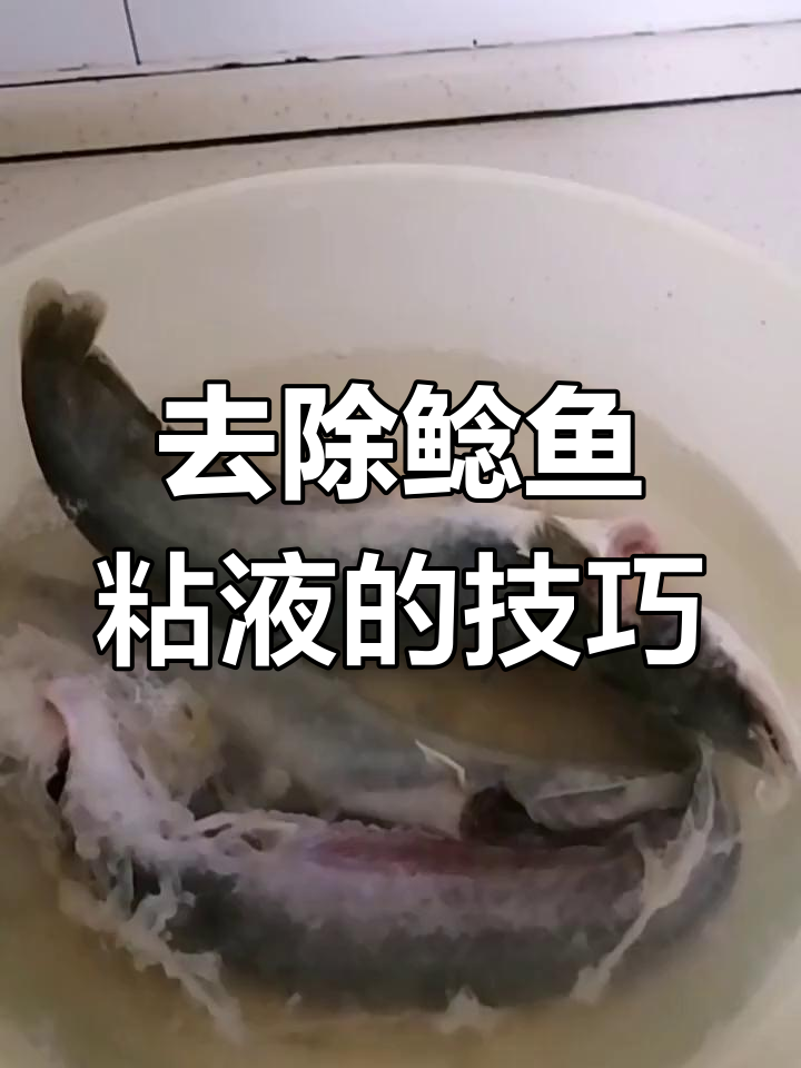 轻松去除鲶鱼粘液,试试这个方法
