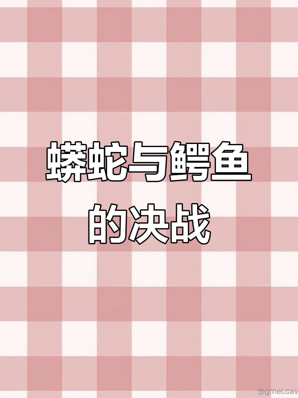 亚马逊河流生死时速:蟒蛇挑战鳄鱼,结果惨烈