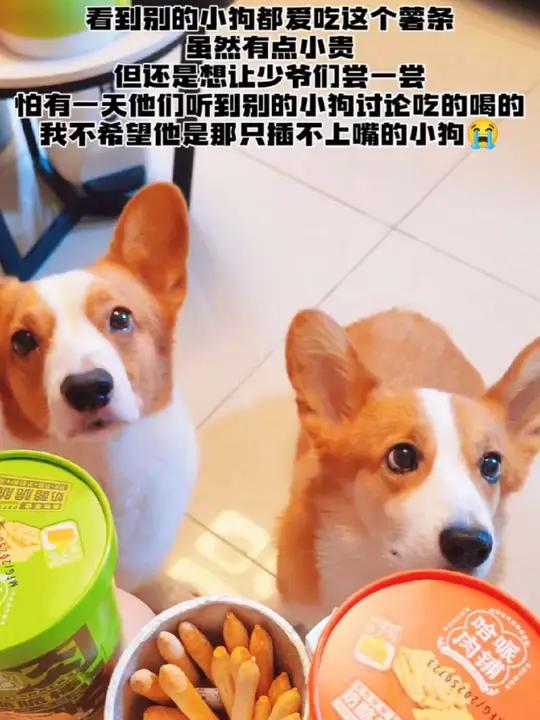 别的小狗有的少爷们不能少!狗狗专属的嘎嘣脆薯条也得有!