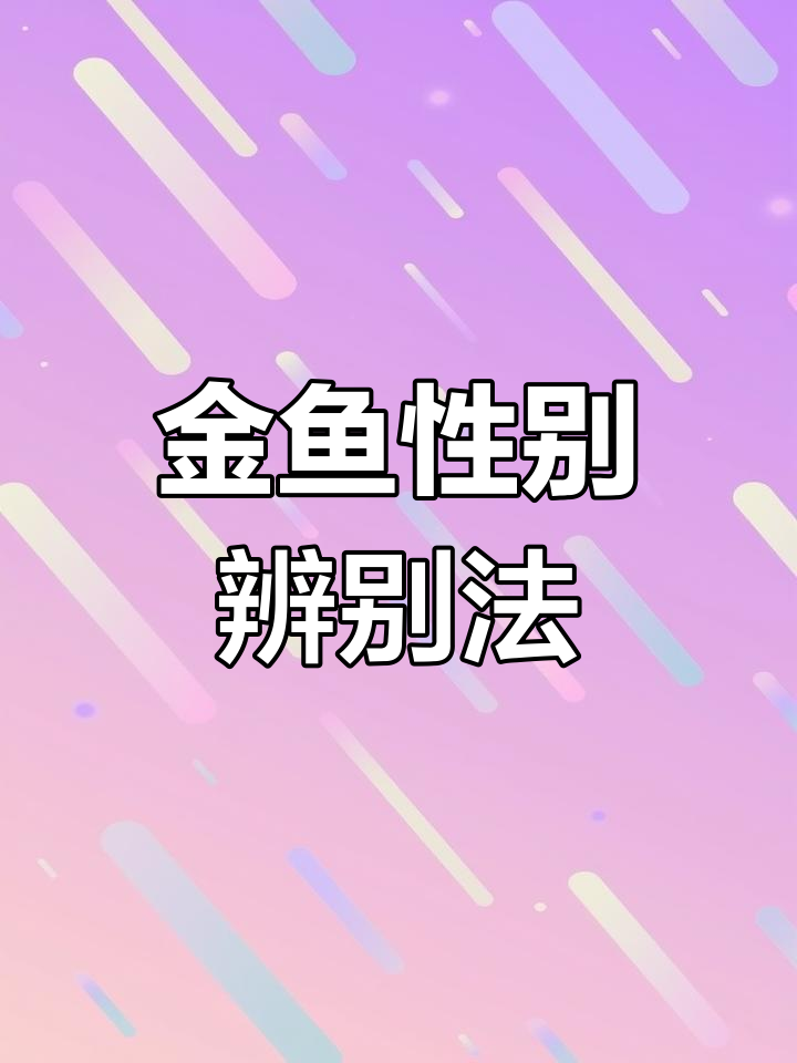 如何分辨金鱼公母