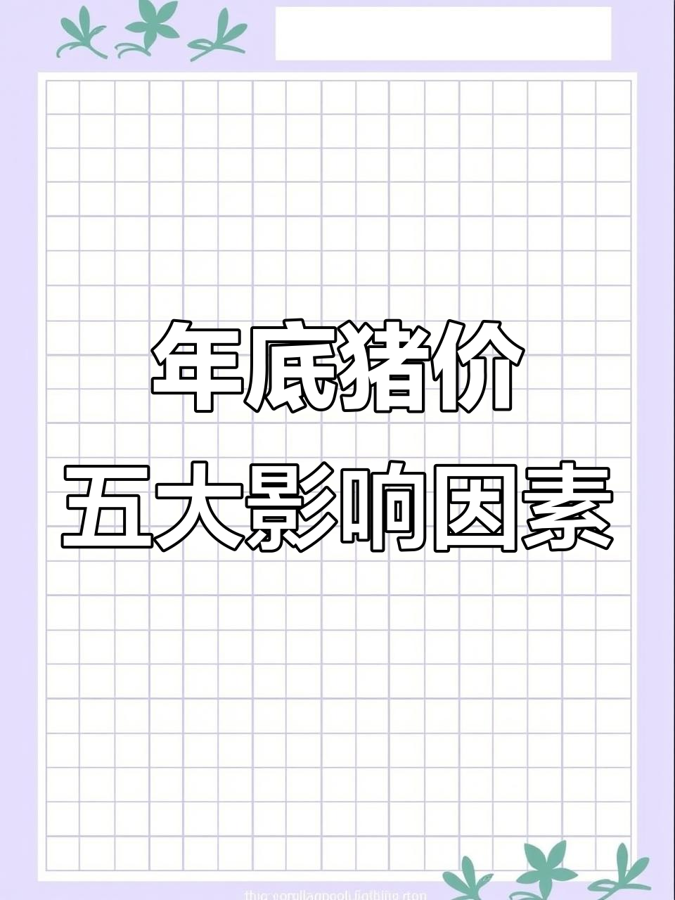 年底猪价涨不涨？这五个关键因素决定行情走势