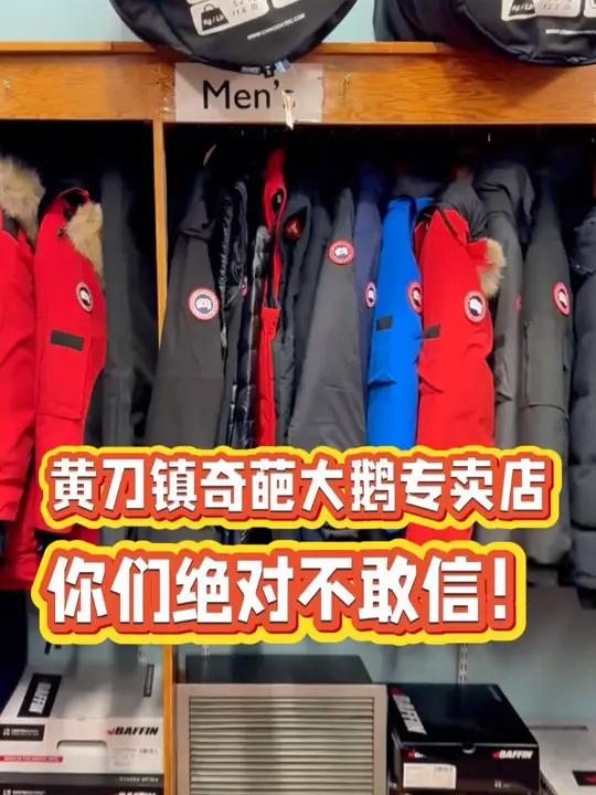 黄刀镇奇葩大鹅专卖店,你们肯定没见过 黄刀镇Yellowknife虽然靠近北极圈,但来这旅