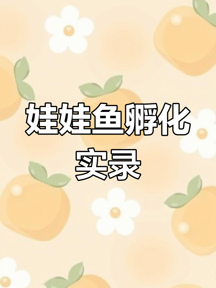 大鲵孵化全过程：从受精卵到幼体挣扎求生的惊险时刻