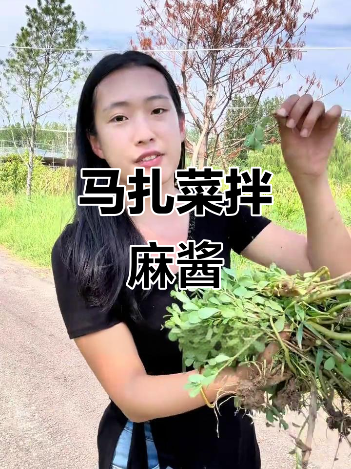 济阳云栖处特色凉菜:马扎菜的独特做法与美味秘诀