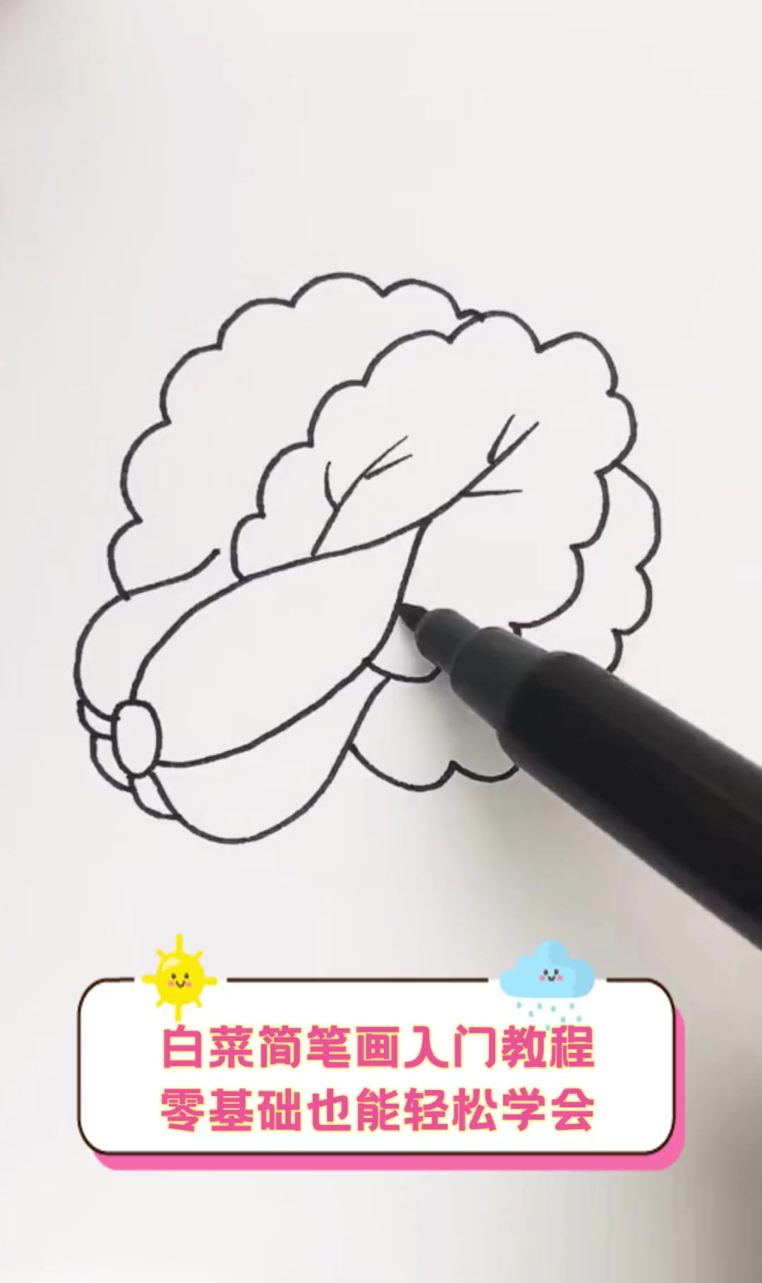 白菜简笔画入门教程,零基础也能轻松学会