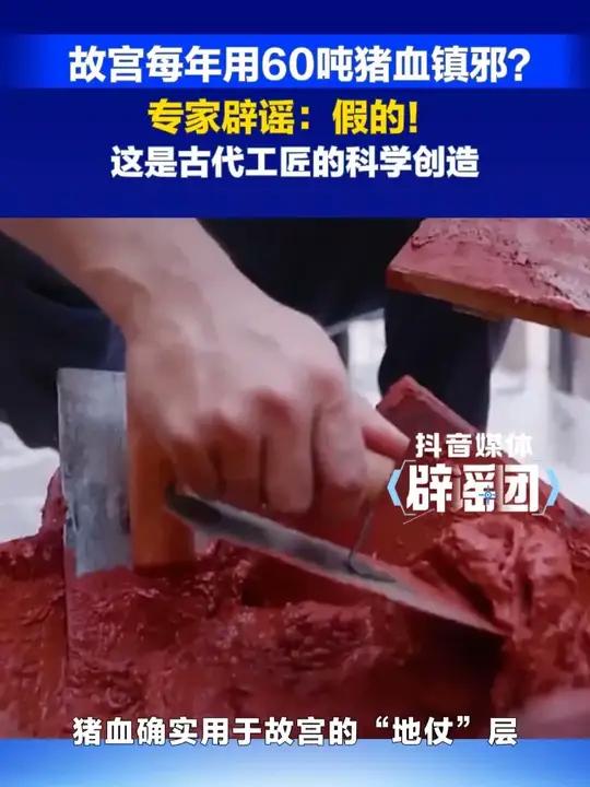 故宫每年用60吨猪血镇邪?专家辟谣:假的!这是古代工匠的科学创造#冀时新闻主播说 #故宫每