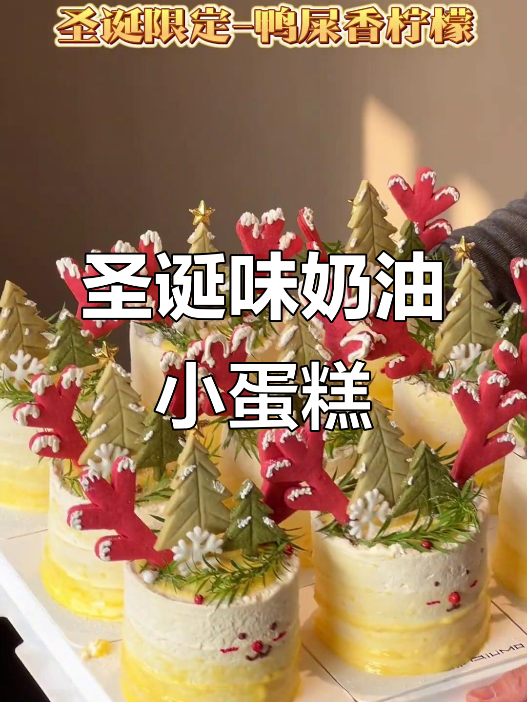 圣诞奶油小蛋糕,口味超赞!