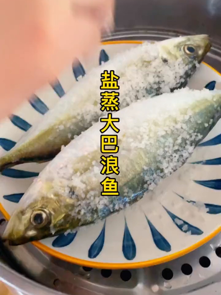 东山岛海鲜|盐蒸巴浪鱼