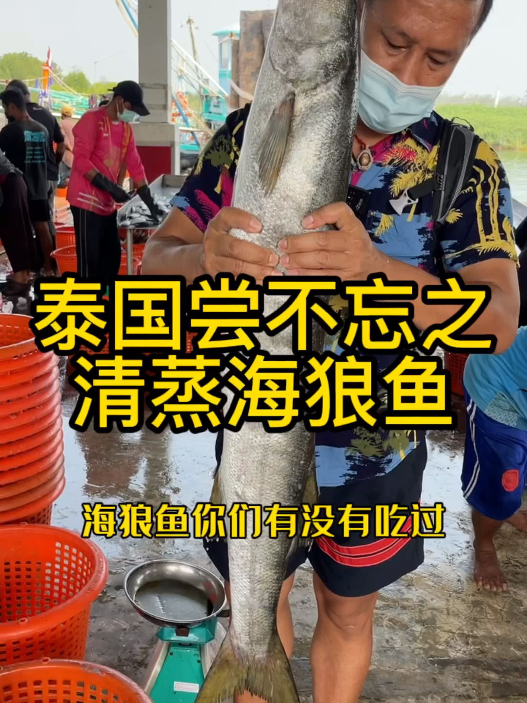 泰国尝不忘之清蒸海狼鱼