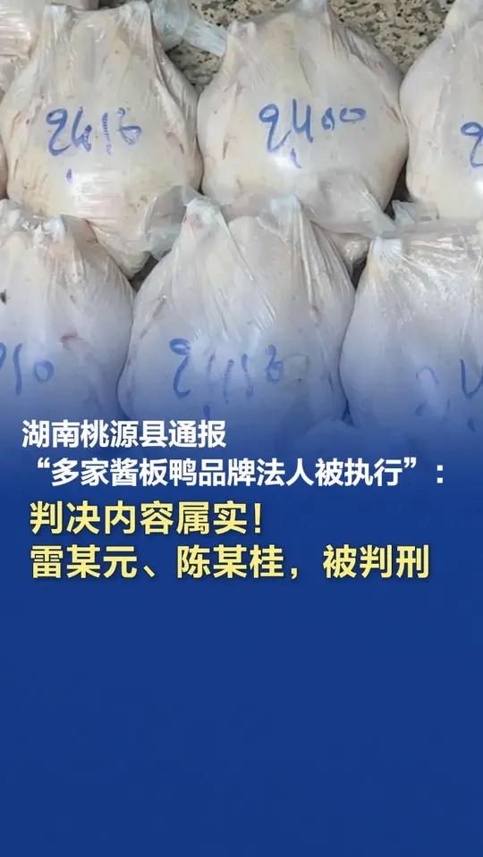 湖南桃源县通报“多家酱板鸭品牌法人被执行”：判决内容属实！官方回应企业用越南冻鸭制酱板鸭两