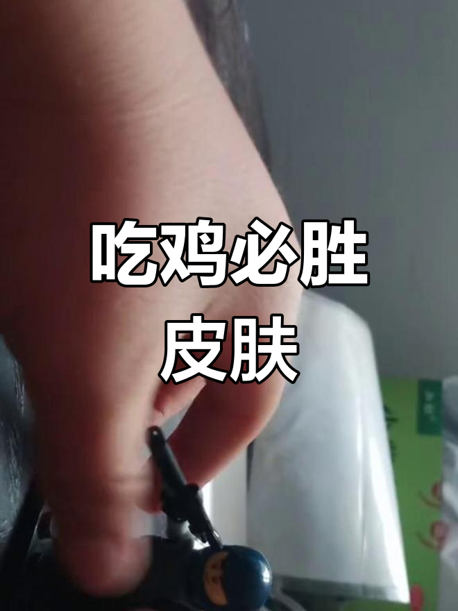 乐高吃鸡皮肤助力胜利