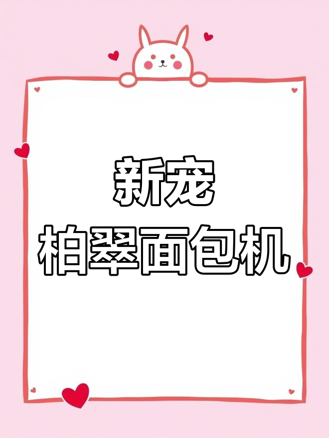 解放双手!柏翠面包机使用体验