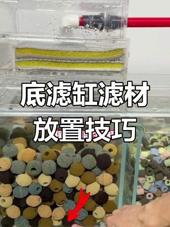 底滤缸滤材摆放全攻略,提升水质效果