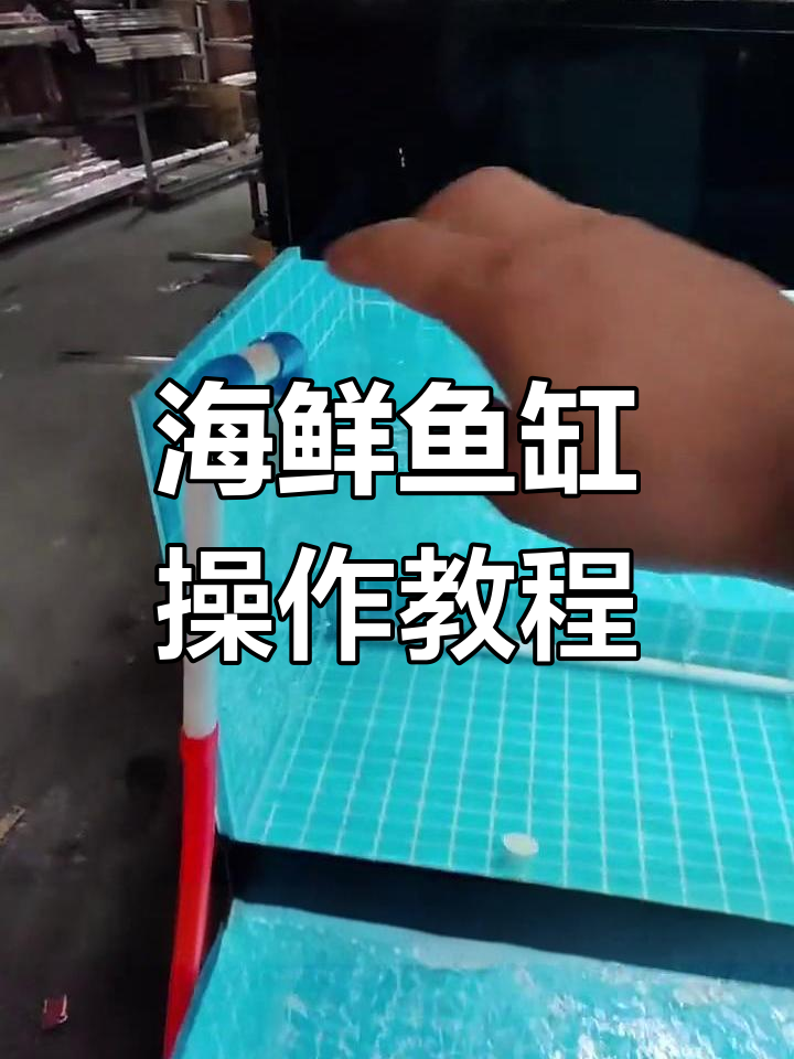 新购海鲜鱼缸使用指南,如何正确设置与消毒