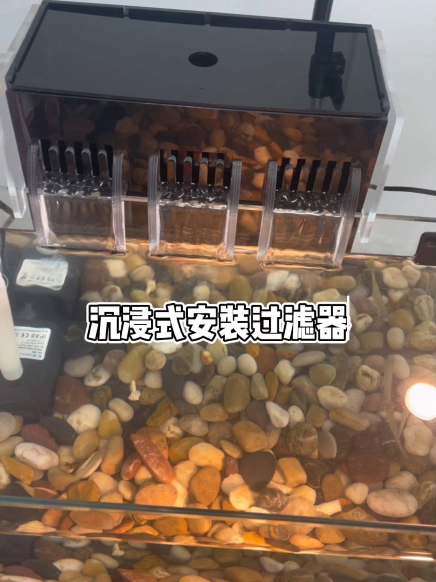 沉浸式安装鱼缸过滤器