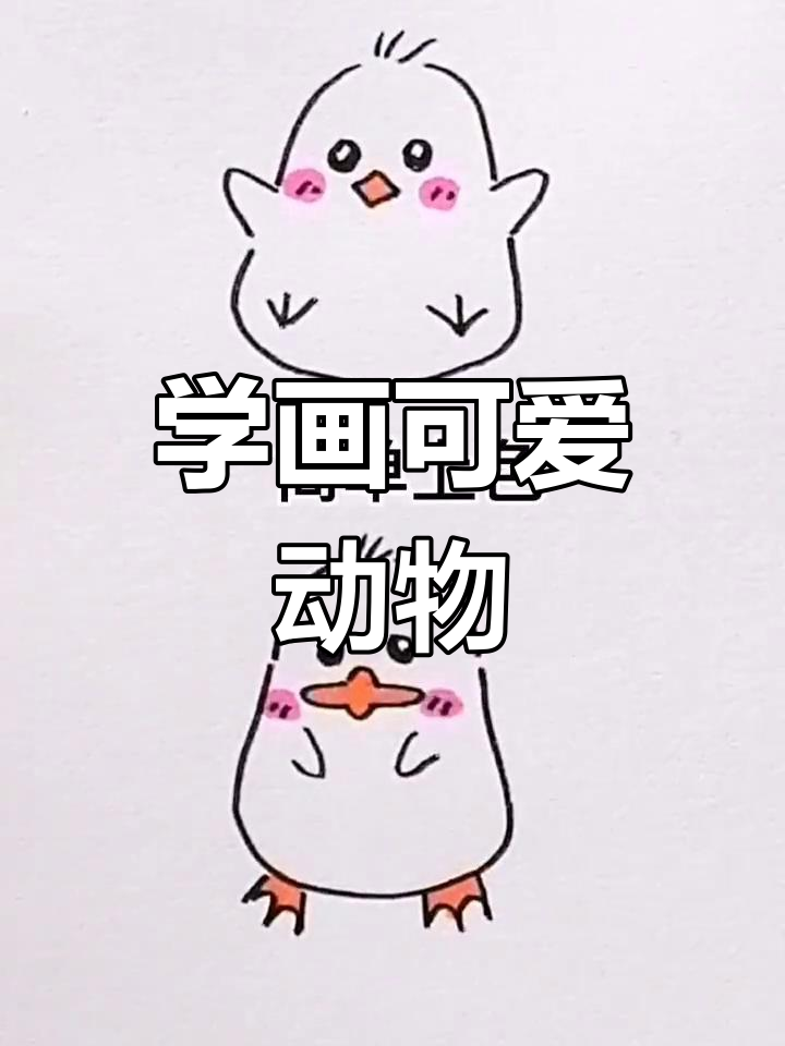 亲子简笔画教程:绘制小鸡小鸭